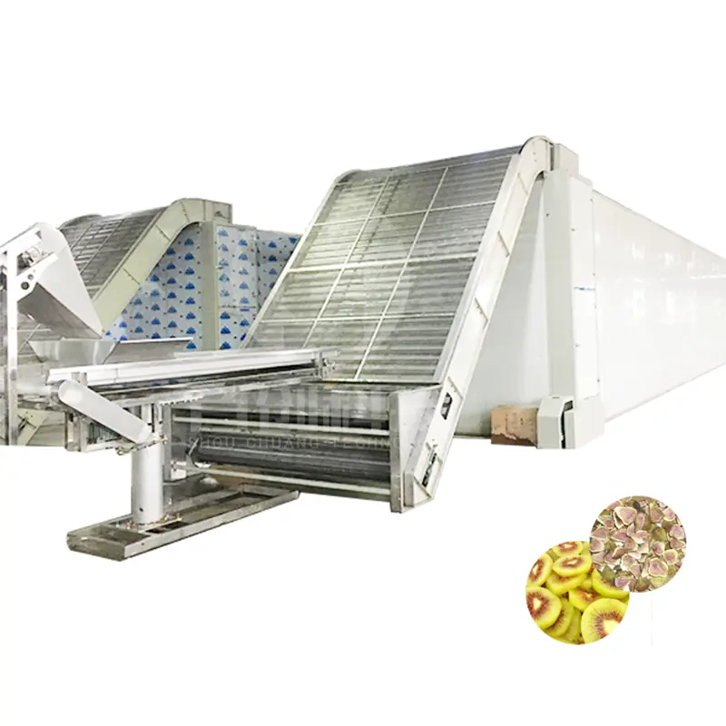 ShouChuang Mesh Belt Dryer Mesh Belt Dryerfactory Price 4
