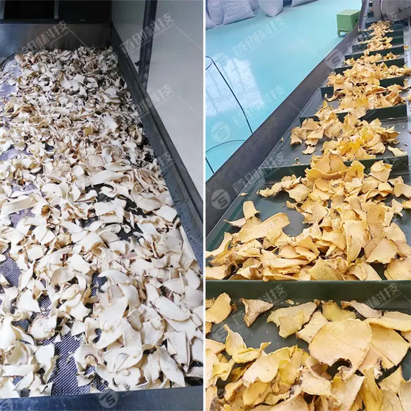 Industrial Vegetable Dryer Machine Factory Price 4