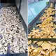 Industrial Vegetable Dryer Machine Factory Price 4
