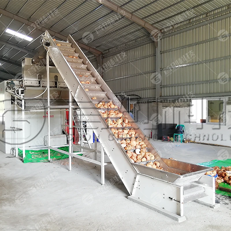 Secadora automatizada de verduras, ñame, yuca y konjac con capacidad de 1 a 50 toneladas 1