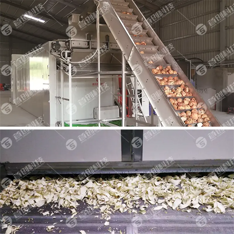 Industrial Vegetable Dryer Machine Factory Price 2