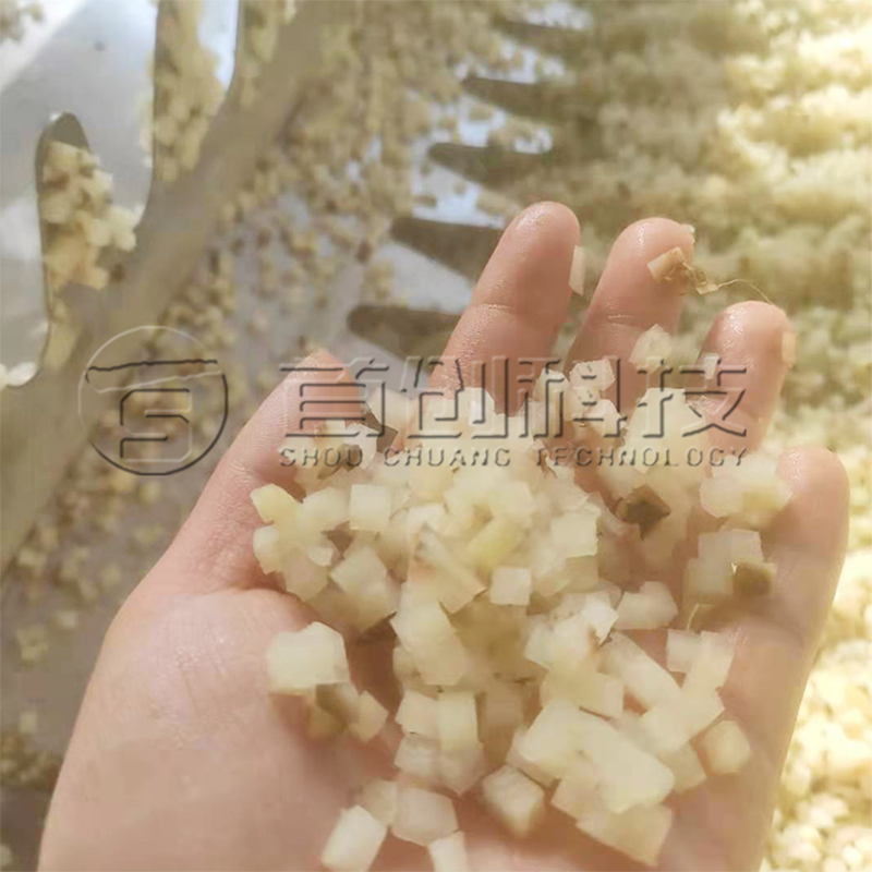 Mushroom Dehydrator Machine by ShouChuang 3