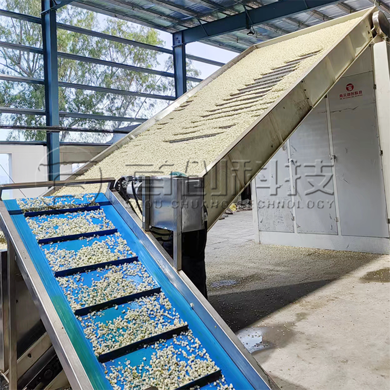 600 kg/h Fruit  Vegetable Net Belt Dryer for Apples, Peaches, Oranges, Carrots, and Onions 1