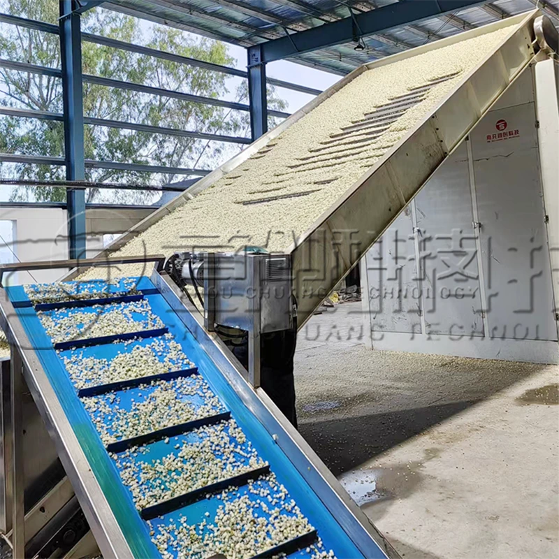 600 kg/h Fruit & Vegetable Net Belt Dryer for Apples, Peaches, Oranges, Carrots, and Onions 1