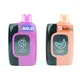 Sanlei Vape Vapour Cigarettes Vapour Cigarettesfactory Price 6