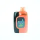 Sanlei Vape Vapour Cigarettes Vapour Cigarettesfactory Price 4