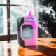 Sanlei Vape Vapour Cigarettes Vapour Cigarettesfactory Price 3
