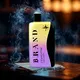 Electronic Puff Cigarette - for Smokers - Sanlei Vape 4