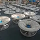 Greenhouse Supplier 68*68*38 - - Oone 3