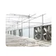 Greenhouse Supplier Paypal by Oone 4
