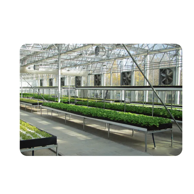 Vertical Farming Equipment for Sale Paypal by Oone-5 4