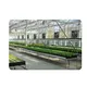 Vertical Farming Equipment for Sale Paypal by Oone-5 4