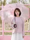Clear Bubble Umbrella Available for Specifications and Quantities by Blueprint Umbrella 4