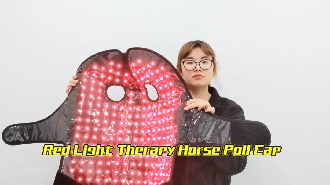 Equine Red Light Therapy Hood with Built-In Battery – Precision Engineered for Champions