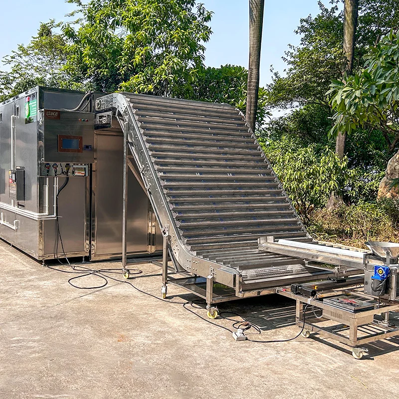 Automated Dehydration Machine | High-Capacity Continuous Drying Line 1
