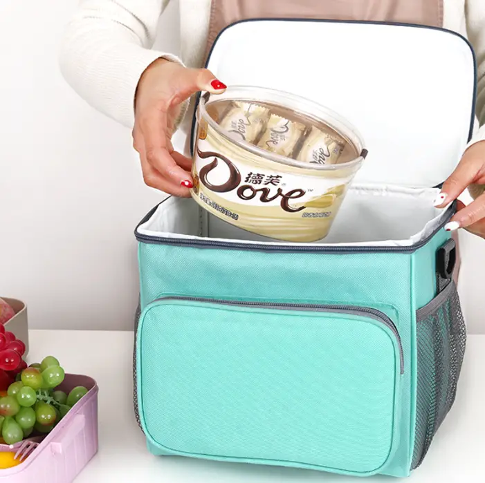 Lunch Cooler 600D+oxford - - HAPNT 4