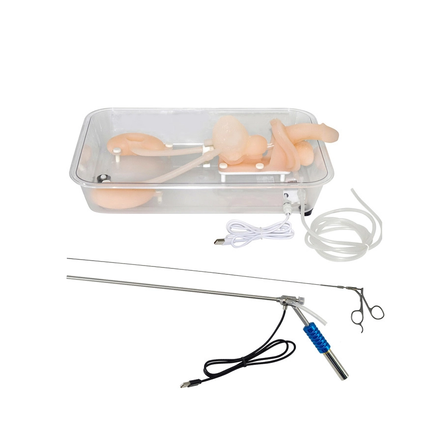 Medical Science Training Ureteroscopy Training Simulator | INNORKOM 1