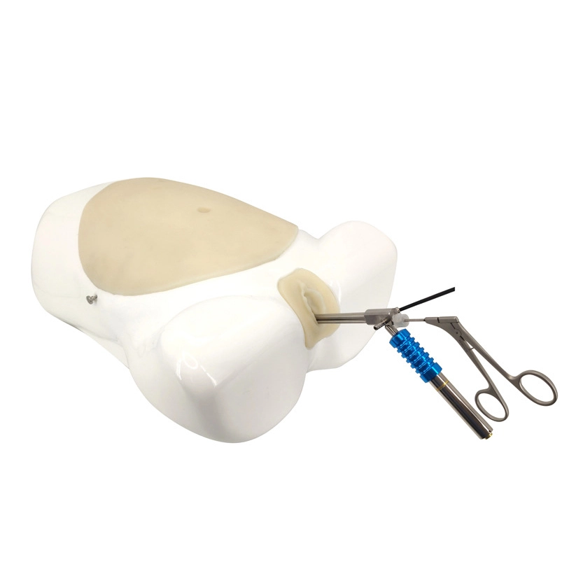 Maniquí de entrenamiento médico para laparoscopia e histeroscopia | INNORKOM 1