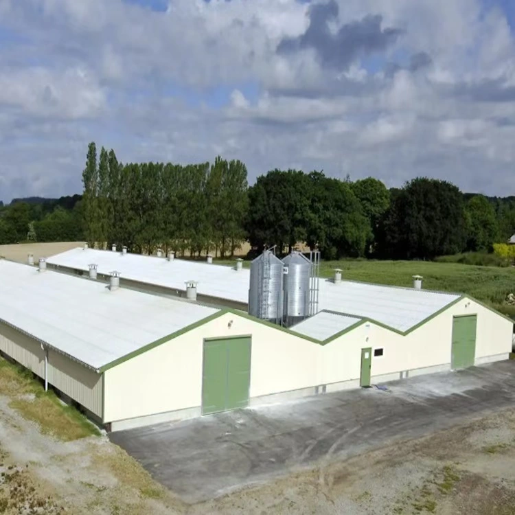 Lightweight Steel Structure Farm Buildings Shed Agriculture Animal Husbandry Large-Span Steel Structural Farmhouses Livestock Farms Poultry House 1