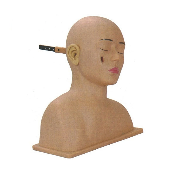 Advanced Ear Diagnostic Simulator | INNORKOM 1