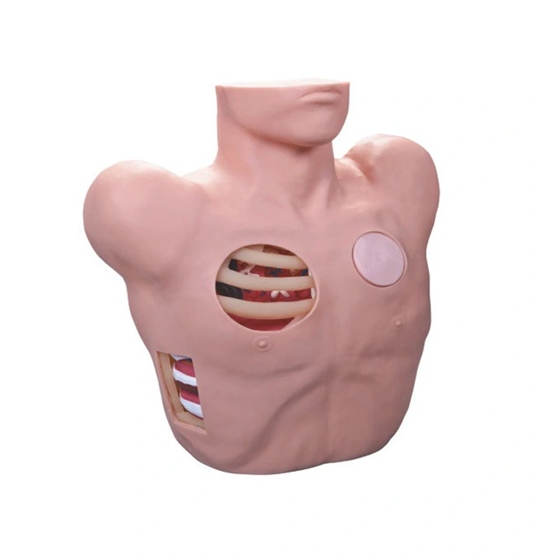 Thoracentesis Drainage Model | INNORKOM 1