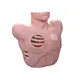 Sterile and Corrosion Resistant Medical Skull Model Manufacturer for Medical Grade 4