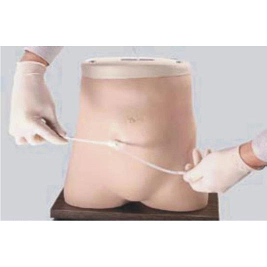Peritoneal Dialysis Model | INNORKOM 1