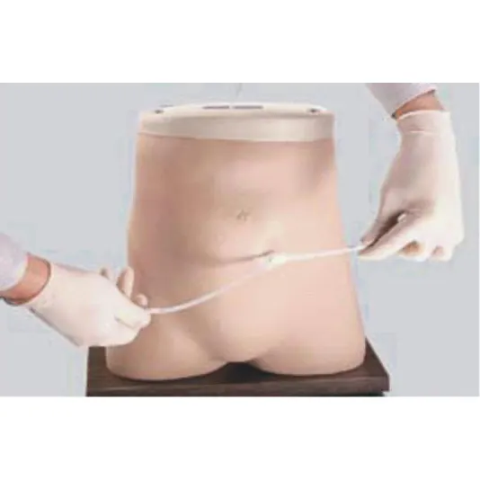 Intestinal Anastomosis Model Company for Operating RoomINC-PD03 2