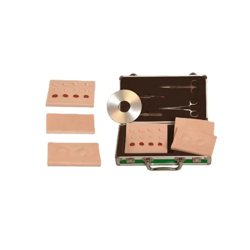 High Quality 3b Medical Models 3b Medical Models Company 2