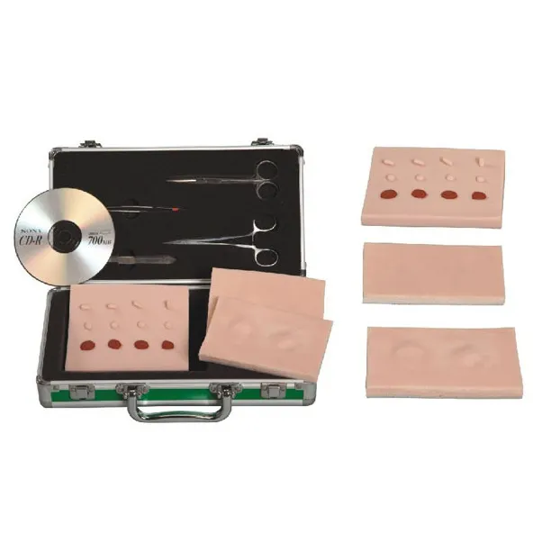 High Quality 3b Medical Models 3b Medical Models Company 3