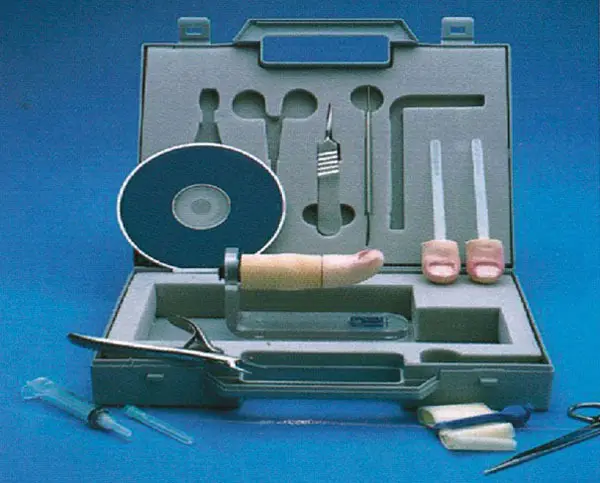 Medical Anatomy Models for Medical Grade INC-ST07company 2