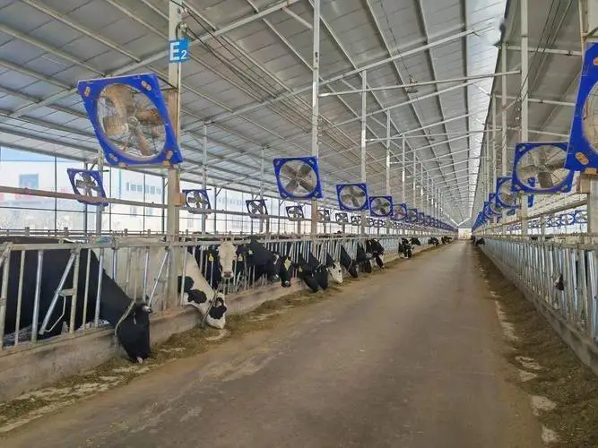Steel Structure Prefab Farm Building Cow Barn Sheep/cattle/dairy/goat House Poultry Sheds Piggery Construction 1