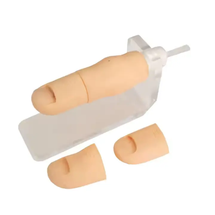 Medical Skull Model INC-ST11 Wholesale - INNORKOM 2