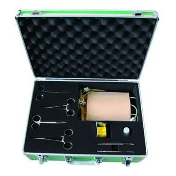 INNORKOM Medical Anatomy Models INC-ST12 Medical Anatomy Modelssupplier 3