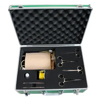 INNORKOM Medical Anatomy Models INC-ST12 Medical Anatomy Modelssupplier 2