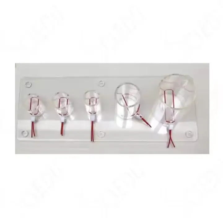 High Quality Medical Skull Model Price List 3