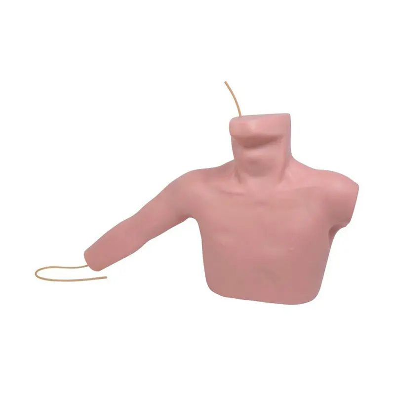 Medical Skeleton Model Vendor for Medical GradeINNORKOM 3