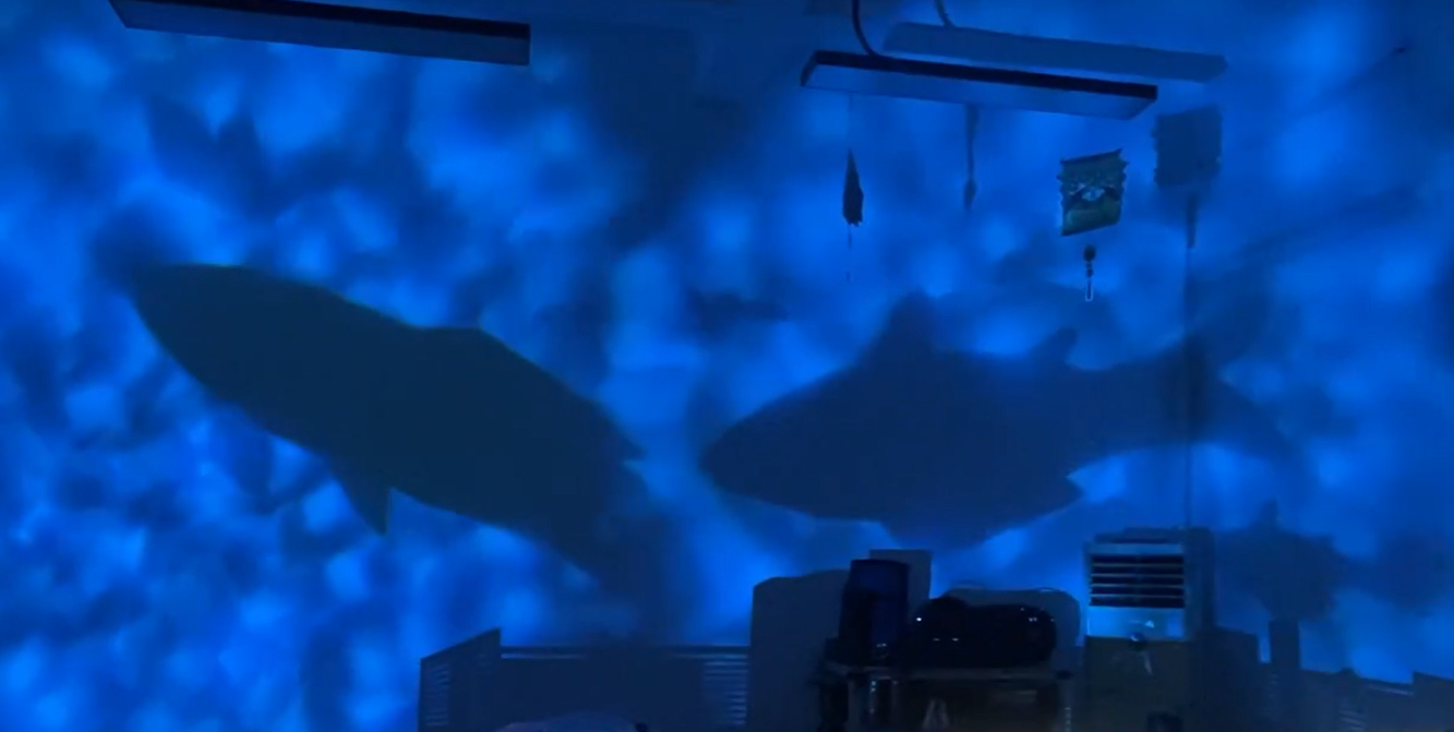 Capturing the Beauty of Water Ripples: a Fish Shadows Projector | Noparde