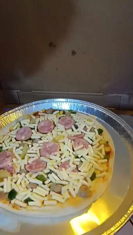 Automated Pizza Vending Machine with Heat System 1