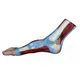 INNORKOM Anatomical Shoulder Model INC-02Fmanufacturer 3