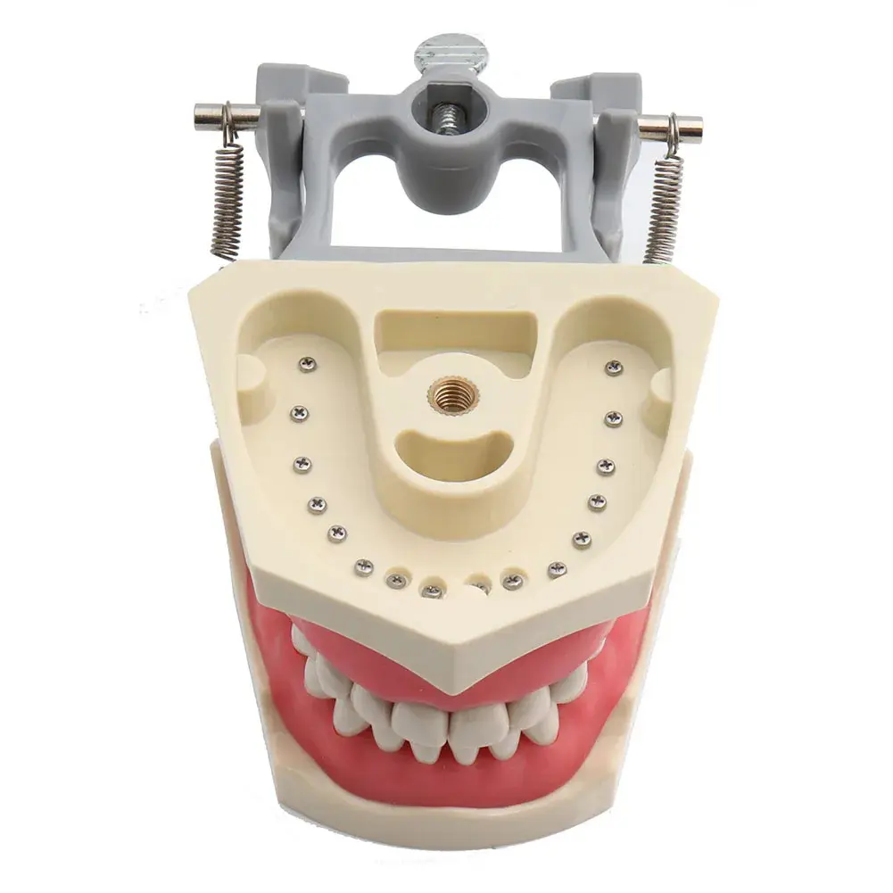 Sterile and Corrosion Resistant Medical Anatomy Models for Medical Grade 3
