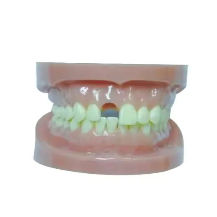 Medical Skull Model for Operating Room INC-03Tfactory 2