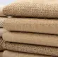 Plastic Cover Natural Color MoneyGramvendor 5