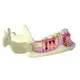 Custom Anatomical Head Model for Operating Room 3