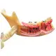 Custom Anatomical Head Model for Operating Room 2