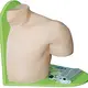 Medical Anatomy Models INC-IM100 INNORKOMmanufacturer 3