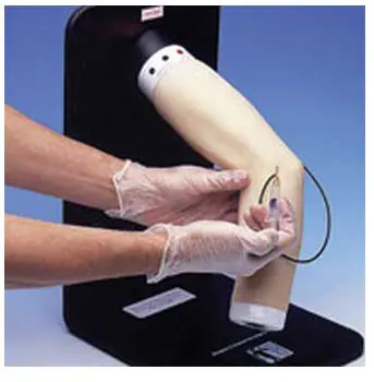 Durable Medical Anatomy Models Factory for Medical Grade 3