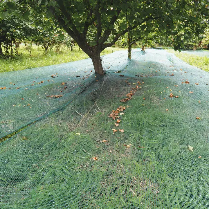 Green Net Supplier Within 30 Days of Receiving the Deposit. - - WINCO 8