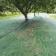 Green Net Supplier Within 30 Days of Receiving the Deposit. - - WINCO 8