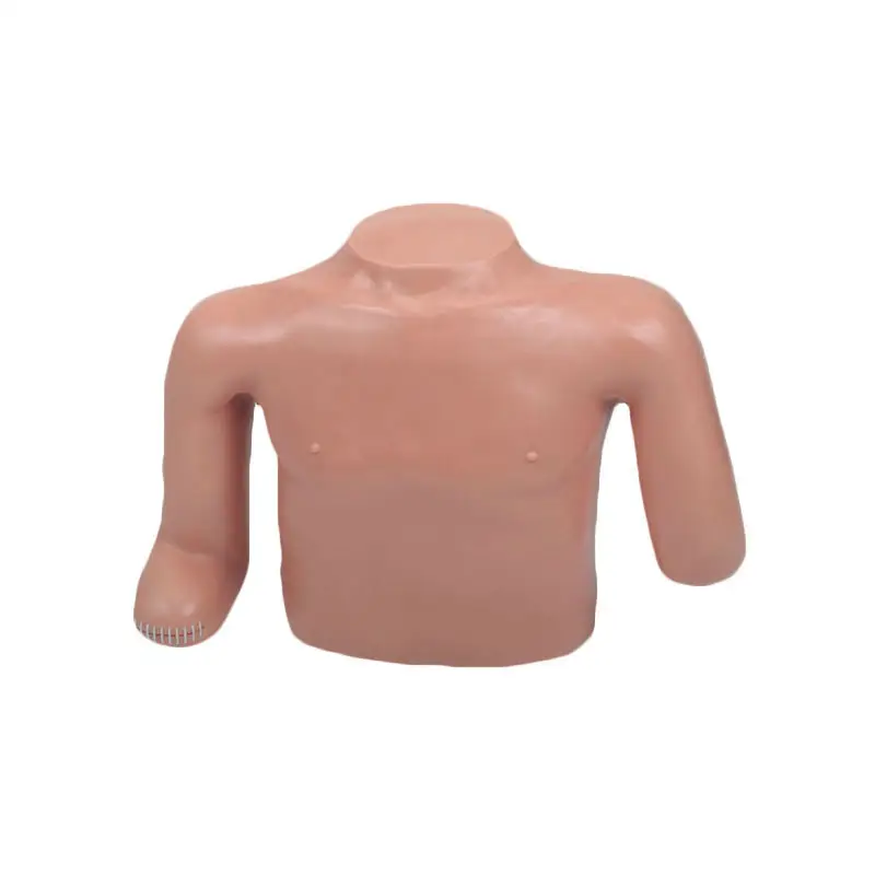 Medical Skull Model Company for Medical GradeINNORKOM 2